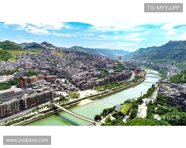 山西汾酒股份聚焦高质量发展打造中国清香型白酒新标杆