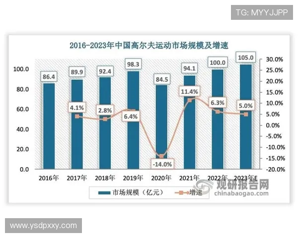 网球运动的魅力与发展趋势探究及其对现代体育文化的深远影响