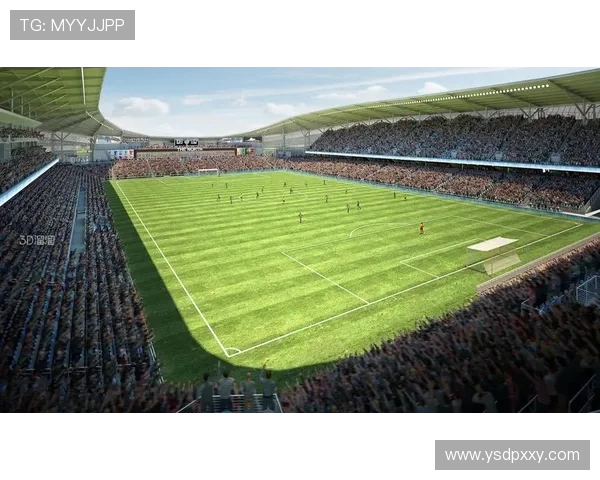 探寻足球运动员成长之路与赛场拼搏精神全景解析全面呈现职业生涯亮点