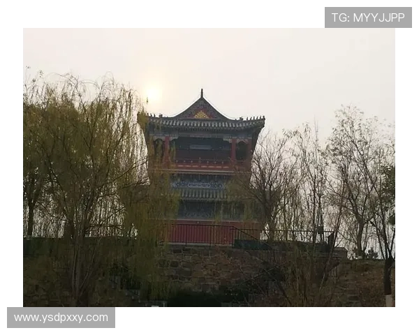 篮球明星励志奋斗之路揭示巅峰背后无限故事与成长心程感悟篇章