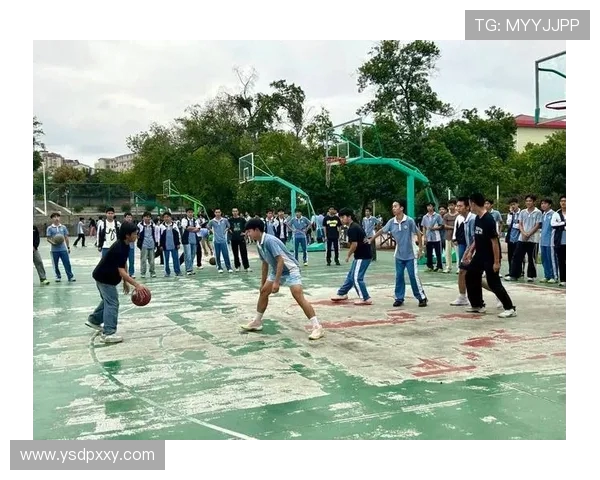 篮球激荡青春热血逐梦赛场展现团队拼搏与荣耀时刻