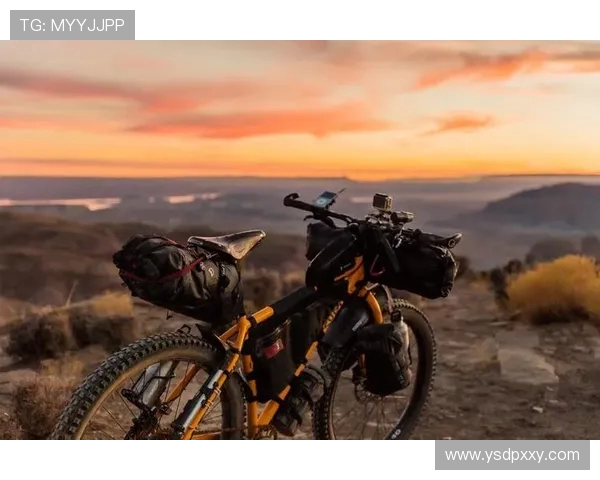 跃入深水，挑战极限：探寻跳水运动背后的魅力