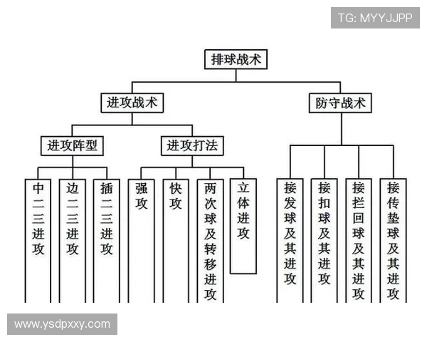 上海排球队进攻战术解析与球员表现评析