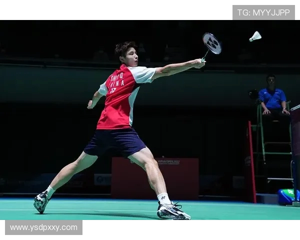 南京羽毛球队技术探讨：提升竞技水平的关键因素与训练方法分析