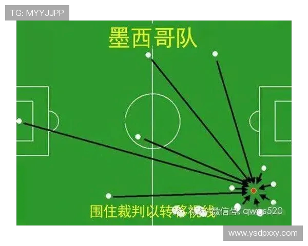 成都篮球队杯赛速度表现分析与战术探讨