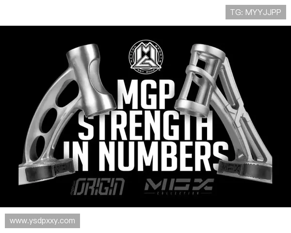 武汉滑板队的整体压制革新探索与实践之路的深度剖析与启示