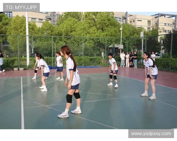深圳排球队的速度之美:探索排球运动的激情与魅力 深圳排球队的速度之美:探索排球运动的激情与魅力