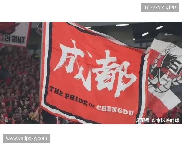 深圳网球队灵活性排名创新高展现卓越实力与潜力 深圳网球队灵活性排名创新高展现卓越实力与潜力