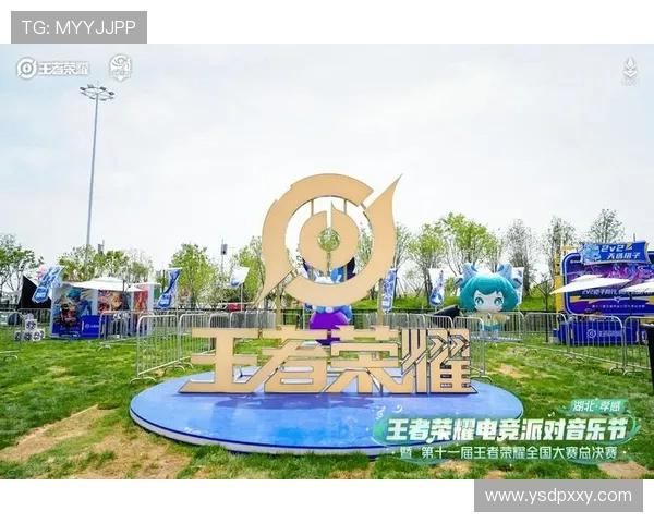 王者荣耀盛宴：深入解析RNG战队的默契配合与团队精神