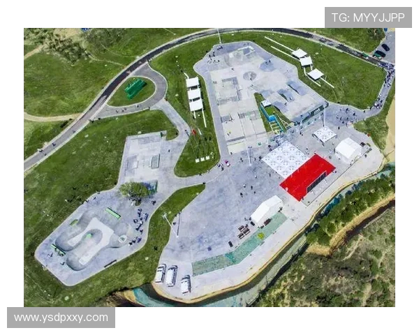 西安极限运动队个人能力分析与表现评估的综合研究报告