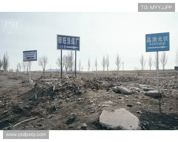 西安滑板队的转型之路与未来发展展望探讨