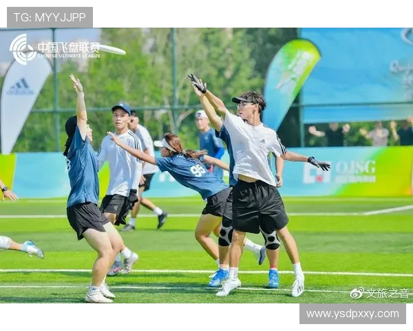 西安飞盘队个人能力分析与团队协作的深度探讨