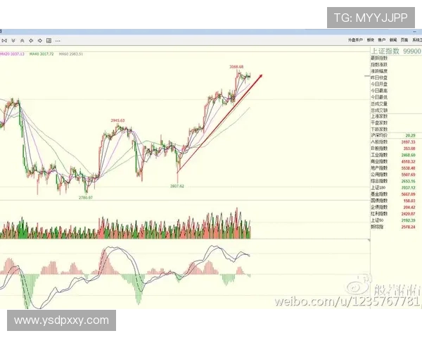 重庆网球队防守策略分析及其在比赛中的成效评估