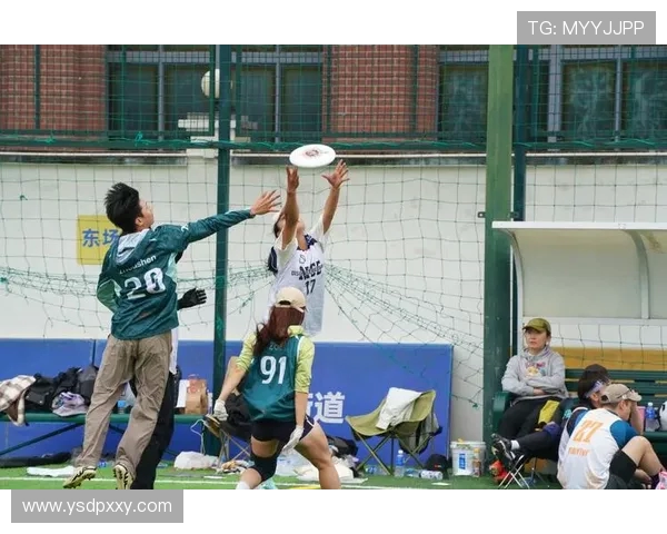 重庆飞盘队与杭州飞盘队耐力对决赛后分析与总结